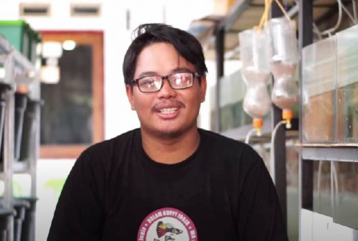 Untung Banyak! Pria Asal Bantul Ini Sukses Ternak Ikan Guppy - GenPI.co JOGJA