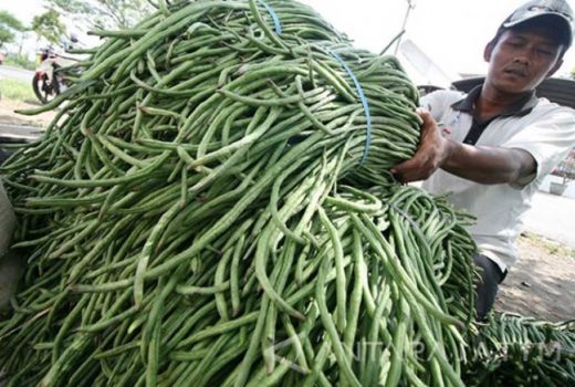 3 Khasiat Kacang Panjang untuk Penderita Diabetes - GenPI.co JOGJA