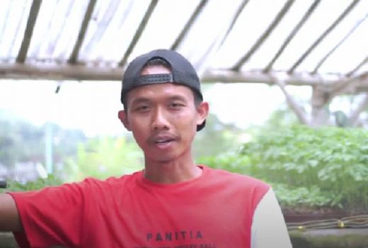 Kisah Mantan Karyawan, Sukses Usaha Pembibitan Sayuran di Bantul - GenPI.co JOGJA