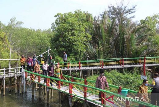 Pemkab Kulon Progo Janjikan Pengembangan Wisata Mangrove - GenPI.co JOGJA