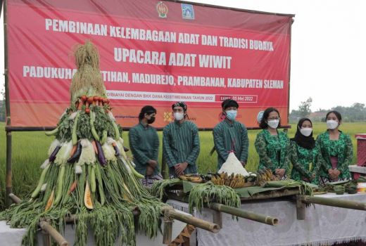 Ungkapan Syukur, Warga Prambanan Sleman Gelar Tradisi Wiwitan - GenPI.co JOGJA