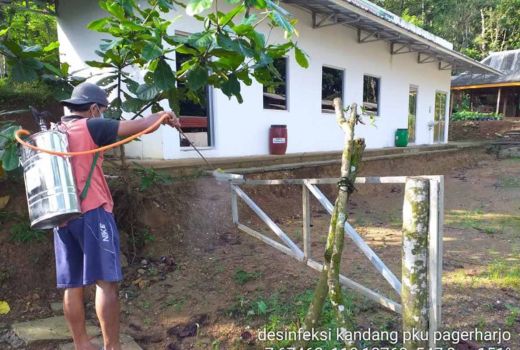 PMK di Kulon Progo, Penyemprotan Disinfektan Masif Dilakukan - GenPI.co JOGJA