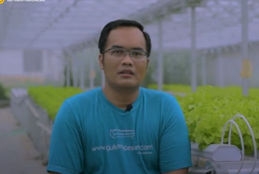 Berkat Ketekunan, Pria di Sleman Ini Sukses Bertani Hidroponik - GenPI.co JOGJA