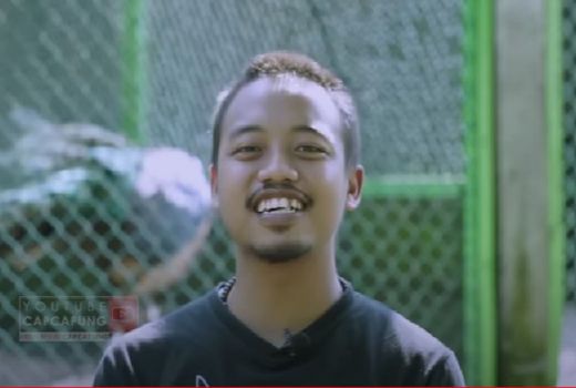 Keren! Pria di Sleman Ini Sukses Penangkaran Merak Hijau - GenPI.co JOGJA