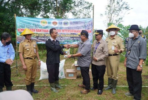 Petani Durian di Nglanggeran Gunungkidul Digelontor Pupuk - GenPI.co JOGJA