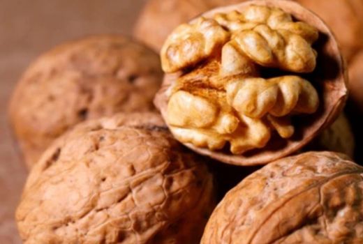 3 Khasiat Kacang Kenari untuk Kesehatan, Nutrisinya Melimpah! - GenPI.co JOGJA