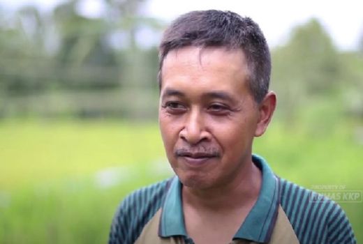 Top! Pria di Sleman Ini Sukses Jadi Petani Sistem Mina Padi - GenPI.co JOGJA