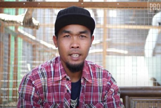 Top! Pria Asal Sleman Ini Sukses Penangkaran Ayam Pheasant - GenPI.co JOGJA