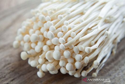 3 Khasiat Jamur Enoki untuk Kesehatan, Jantung Bisa Sehat! - GenPI.co JOGJA