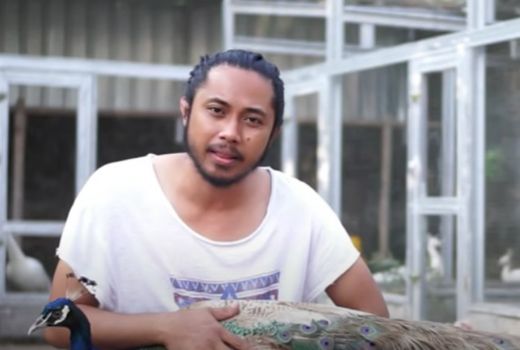 Silaturahmi, Jadi Cara Peternak Merak di Sleman Bertahan - GenPI.co JOGJA