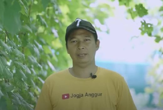 Danang Priatmoko, Pria di Bantul Sukses Bikin Wisata Kebun Anggur - GenPI.co JOGJA