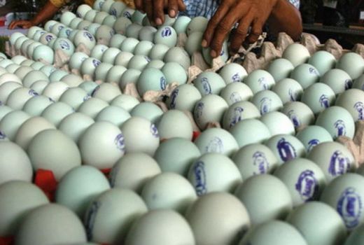 3 Risiko Kebanyakan Makan Telur Asin bagi Kesehatan, Bahaya - GenPI.co JOGJA