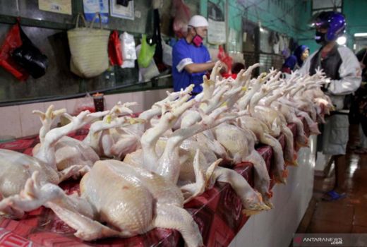 3 Khasiat Mengonsumsi Kulit Ayam, Menjaga Kesehatan Jantung! - GenPI.co JOGJA