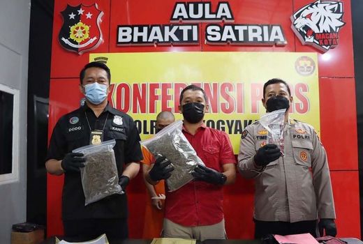 Waduh, Seorang Mahasiswa di Yogyakarta Jual Ganja 1 Kilogram - GenPI.co JOGJA