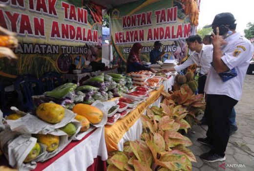 Yogyakarta Pamer Hasil Produksi Pertanian di Balai Kota - GenPI.co JOGJA