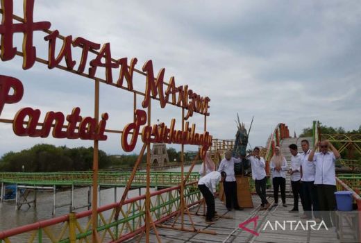 Pemkab Kulon Progo Didesak Kembangkan Wisata Mangrove - GenPI.co JOGJA