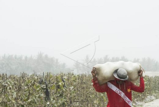 3 Pupuk Bersubsidi Dihapus, Petani Kulon Progo Diharap Tak Kaget - GenPI.co JOGJA