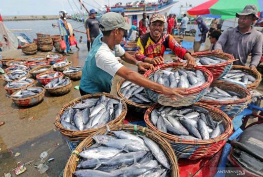 Yogyakarta Patok Target 7 Ribu Ton Produksi Ikan pada 2023 - GenPI.co JOGJA