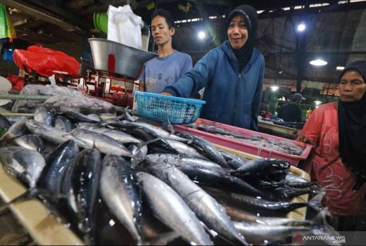 Pasar Ikan Gawok Kulon Progo Bakal Dijadikan Sentra Bahari - GenPI.co JOGJA