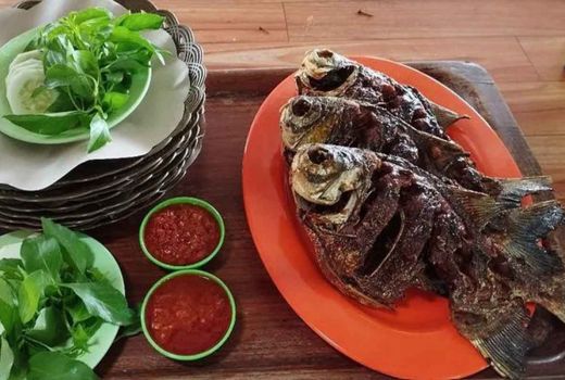 Resto Pemancingan Pinggir Desa Yogyakarta, Ada Menu Mangut! - GenPI.co JOGJA