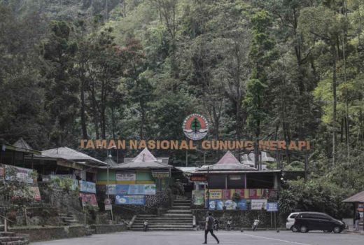 TNGM Tingkatkan Pemantauan Waspadai Kebakaran Hutan Gunung Merapi - GenPI.co JOGJA