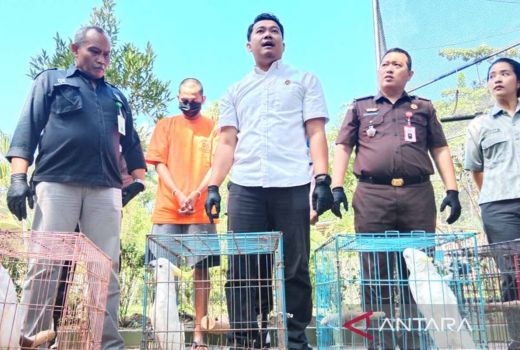 Polresta Yogyakarta Bongkar Kasus Penjualan Satwa Dilindungi - GenPI.co JOGJA