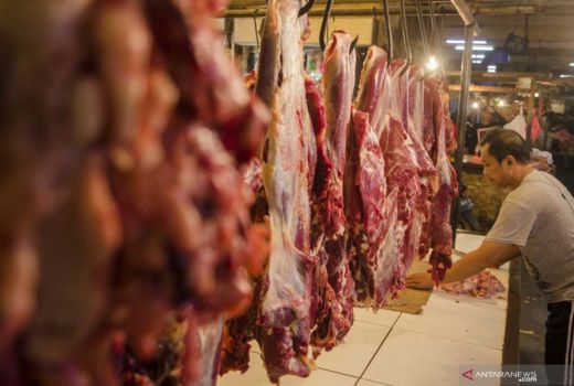 Sleman Defisit Daging Sapi dan Bawang Merah pada Musim Kemarau Ini - GenPI.co JOGJA