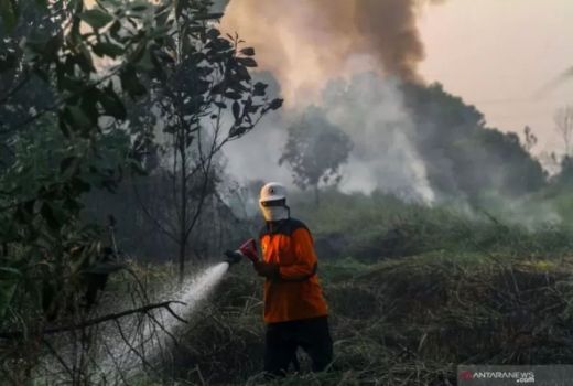 Warga Diimbau Waspada Potensi Kebakaran pada Puncak El Nino di Yogyakarta - GenPI.co JOGJA