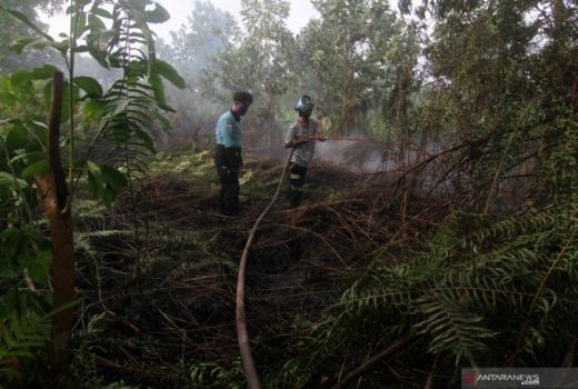 Diguyur Hujan Dua Hari, Titik Api di Kalbar Tersisa 4 - GenPI.co KALBAR