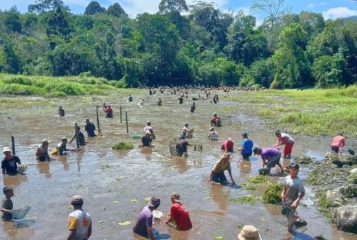 Tradisi Unik Sambut Paskah, Satu Kampung Panen Ikan - GenPI.co KALBAR