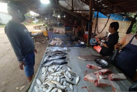 Harga Telur dan Terigu di Kayong Utara Naik Sepekan Terakhir - GenPI.co KALBAR