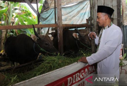 Warga Khawatir PMK, Penjualan Daging di Pontianak Nyungsep - GenPI.co KALBAR