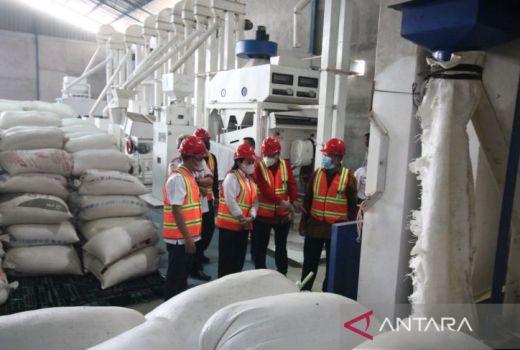 Wow, Landak Punya Mesin Penggiling Padi Terbesar di Kalbar - GenPI.co KALBAR
