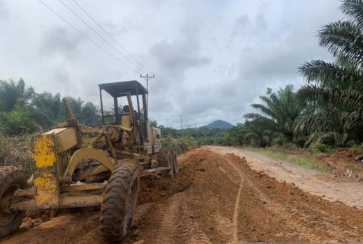 Kadis PUPR Bantah Pemprov Telantarkan Jalan Tumbang Titi-Tanjung - GenPI.co KALBAR