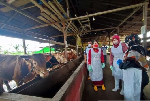 100 Dosis Vaksinasi PMK Dimulai di Kelurahan Mayasopa - GenPI.co KALBAR