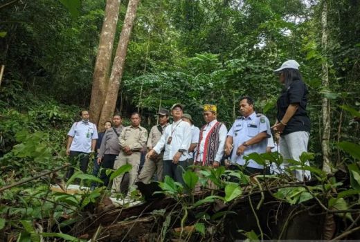 Sedekah Alam, 30 Burung Kacer Dilepasliarkan di Gunung Poteng - GenPI.co KALBAR