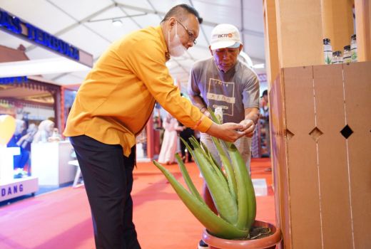 Lidah Buaya Jadi Primadona pada Pameran Indonesia City Expo - GenPI.co KALBAR