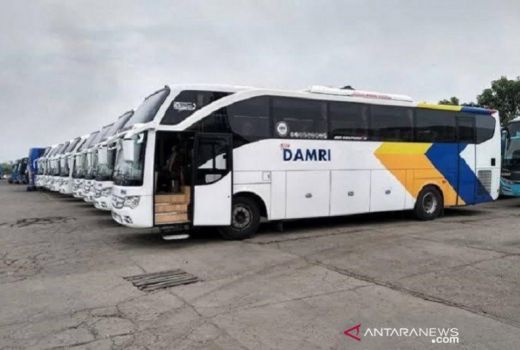 5 Unit Bus Damri Layani Rute Pontianak-Kuching, Berikut Jam Operasionalnya - GenPI.co KALBAR