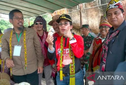 Festival Durian Bukit Rayo Tarik Kunjungan Wisatawan ke Singkawang - GenPI.co KALBAR
