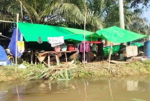 Banjir Capai 5 Meter, 70 KK di Desa Sengkuang Merabong Butuh Bantuan - GenPI.co KALBAR