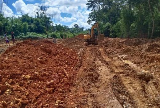 Kolaborasi Perusahaan Sawit Merawat Jalan Diapresiasi Disbunnak Kalbar - GenPI.co KALBAR