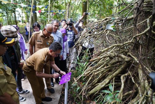 Arboretum Sylva Universitas Tanjungpura Miliki Fasilitas Eco Edu Forest - GenPI.co KALBAR