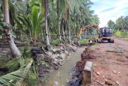 Antisipasi Banjir, Pemkot Singkawang Lakukan Normalisasi Parit - GenPI.co KALBAR