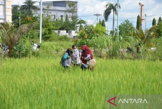 Dewan Bengkayang Sebut Perbaikan Infrastruktur Pertanian Penting Diperhatikan - GenPI.co KALBAR