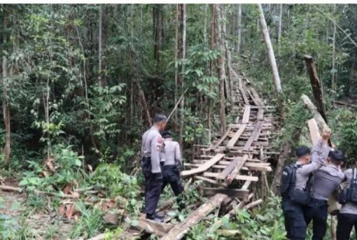 Cegah Pembalakan Hutan Lindung, Polres Bengkayang Gencarkan Patroli - GenPI.co KALBAR