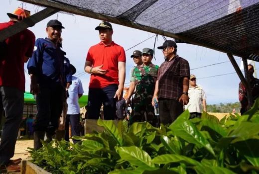 Perusahaan Perkebunan Kopi Diharap Tumbuhkan Ekonomi Masyarakat - GenPI.co KALBAR