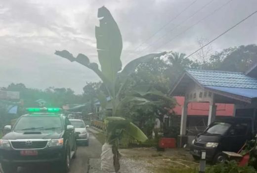 Warga Tanam Pohon Pisang di Jalan Nasional, Wabup Kapuas Hulu: Sabar - GenPI.co KALBAR