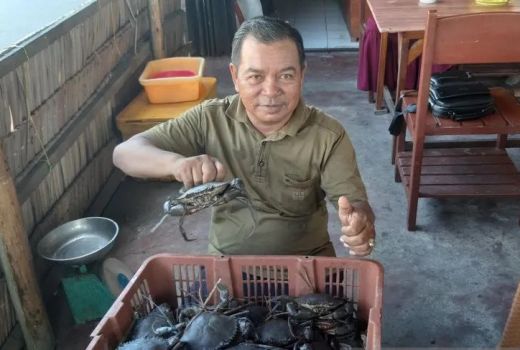 Upayakan Keberlanjutan, Pelaku Usaha Budi Daya Pembesaran Kepiting di Kubu - GenPI.co KALBAR