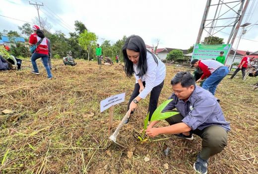 PMI Landak Tanam 500 Pohon, Karolin: Merawat Bumi Bagian dari Merawat Kemerdekaan Indonesia - GenPI.co KALBAR