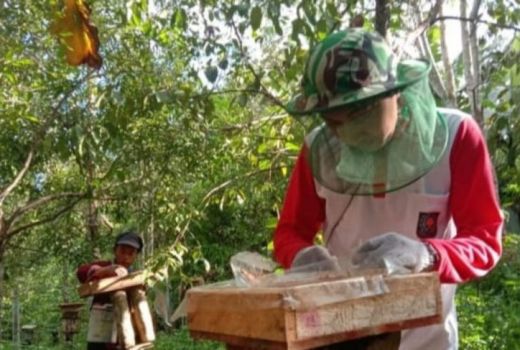 Covid-19 Tinggi, Petani Madu di Kaltim Kewalahan Penuhi Pesanan - GenPI.co KALTIM